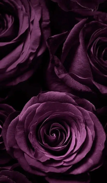 ELITE BOUQUET – OUD ELITE Oud Elite