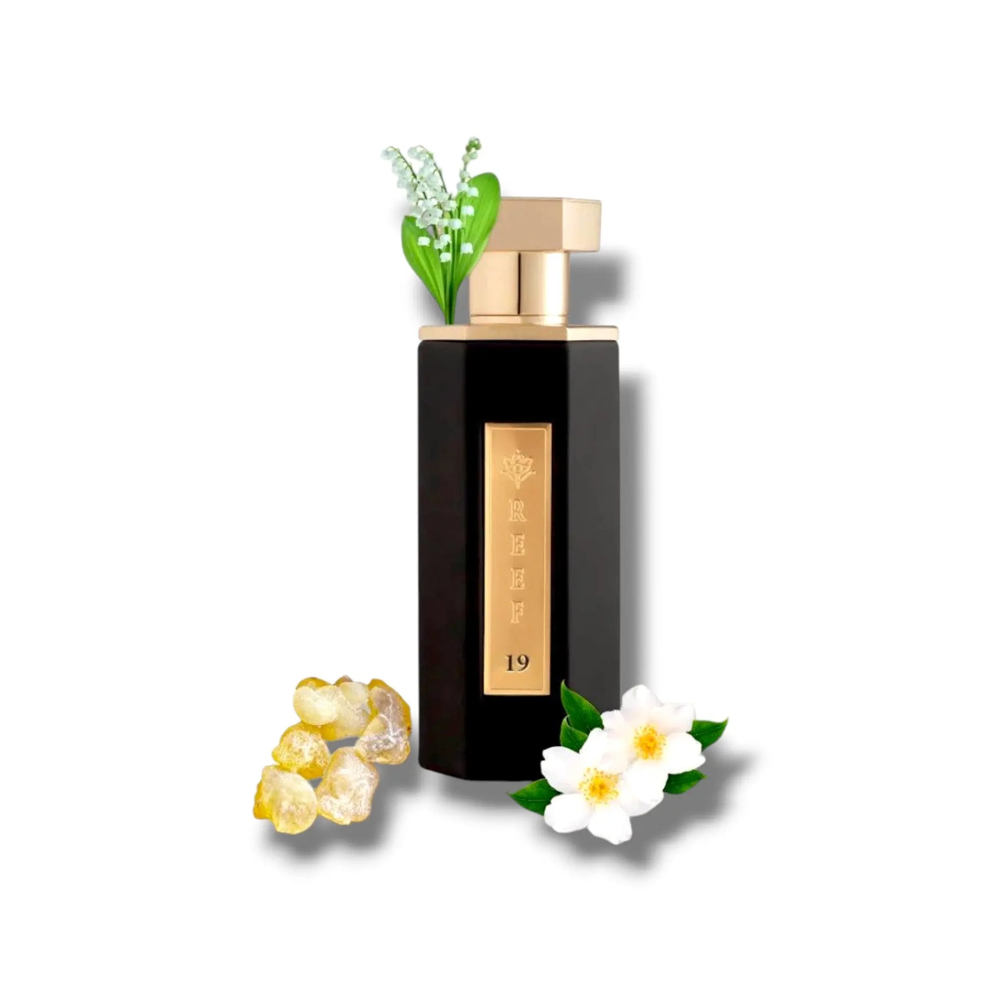 Reef 19 – Reef – 100ml Reef